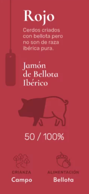 Captura de pantalla 2026-05-22 112258